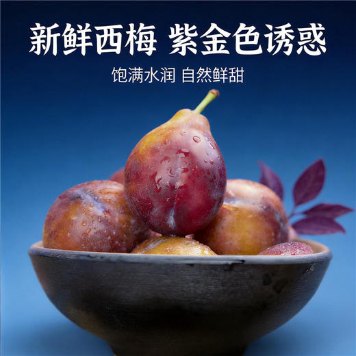 新疆喀什 树上熟法兰西西梅  香甜可口 伽师产地直发 商品图2
