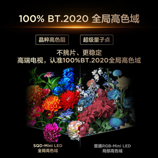 【新品上市】TCL电视 85Q9M Pro 85英寸 SQD-Mini LED 100%全局高色域 超级蝶翼星曜屏 万象分区 4GB+64GB大内存 商品图8