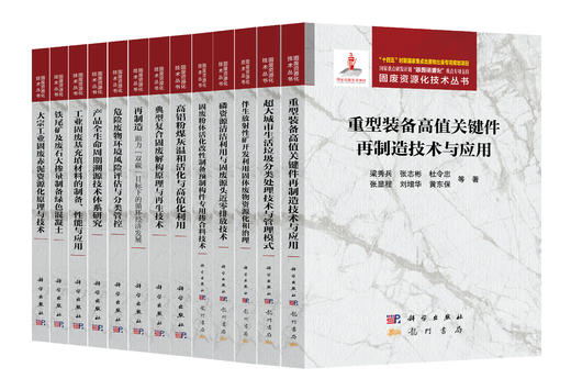 任选：固废资源化技术丛书 商品图0