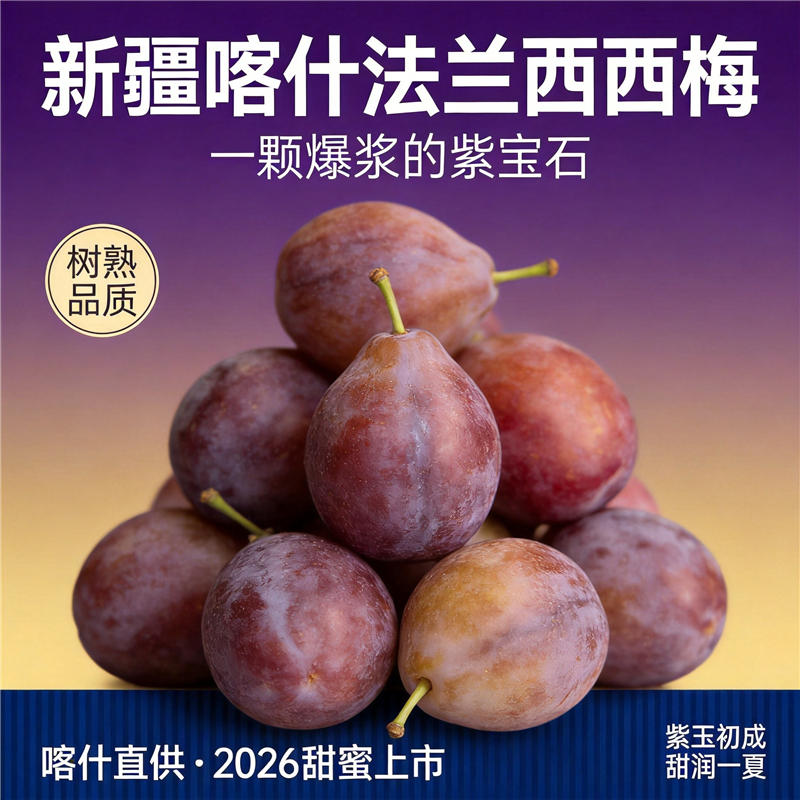 新疆喀什 树上熟法兰西西梅  香甜可口 伽师产地直发