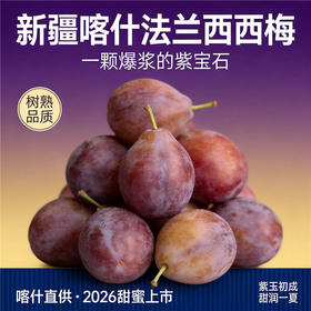 新疆喀什 树上熟法兰西西梅  香甜可口 伽师产地直发