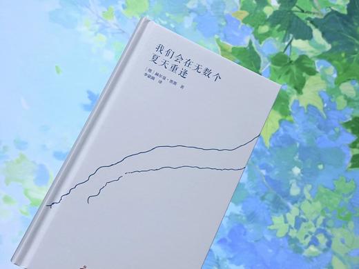 我们会在无数个夏天重逢  9787577231624  华中科技出版社 商品图9