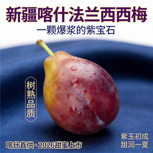新疆喀什 树上熟法兰西西梅  香甜可口 伽师产地直发 商品图4
