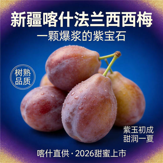 新疆喀什 树上熟法兰西西梅  香甜可口 伽师产地直发 商品图1