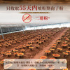 MM 山姆 胡庆余堂 破壁灵芝孢子粉 60g+6g 商品缩略图3