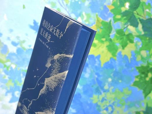 我们会在无数个夏天重逢  9787577231624  华中科技出版社 商品图2