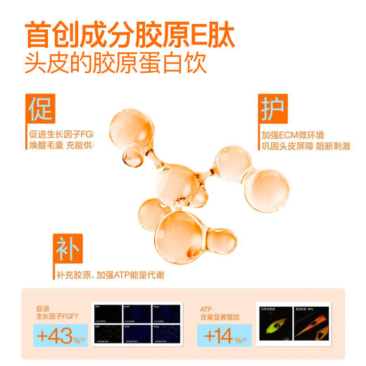 【26年新款 无硅油配方 】EHD防脱密发洗发水  首创胶原E肽  持证防脱 控油蓬松改善掉发 商品图3