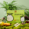 MM 山姆 胡庆余堂 双柚秋梨膏 12g*16/32条 商品缩略图1