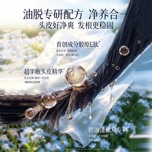 【26年新款 无硅油配方 】EHD防脱密发洗发水  首创胶原E肽  持证防脱 控油蓬松改善掉发 商品图5