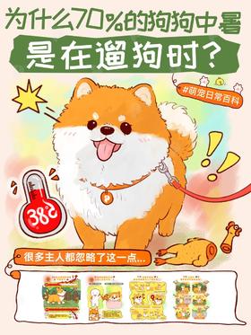 三伏天遛狗指南‼️这几点等于在害它⚠️