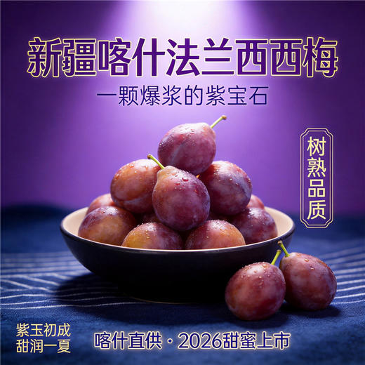 新疆喀什 树上熟法兰西西梅  香甜可口 伽师产地直发 商品图3