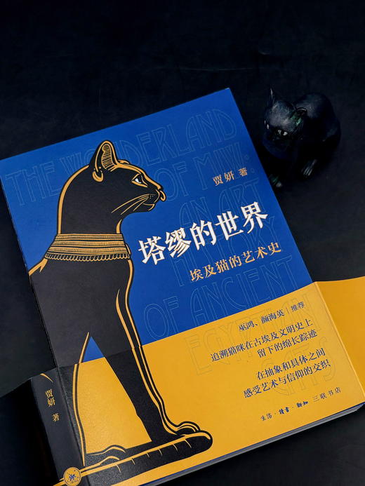 塔缪的世界 商品图7