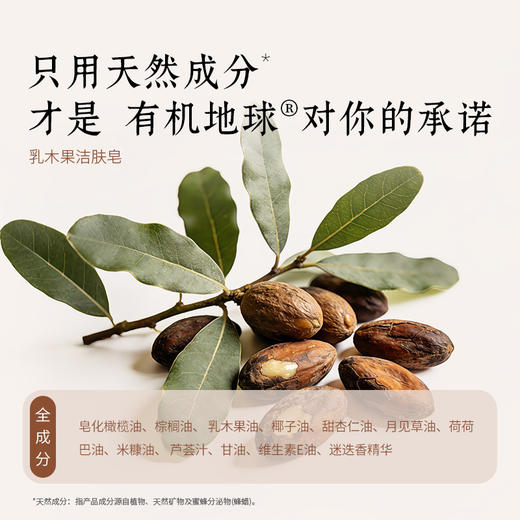 有机地球乳木果洁肤皂75g 商品图4