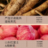 【果香浓郁 便携即食】春江月黄芪苹果干 果肉软糯有嚼劲 酸甜不腻 158g/袋 商品缩略图2