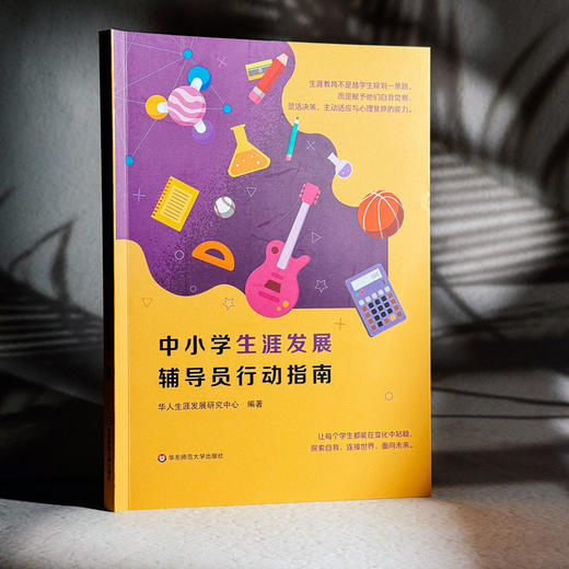 中小学生涯发展辅导员行动指南 生涯教育 华人生涯发展研究中心 商品图3