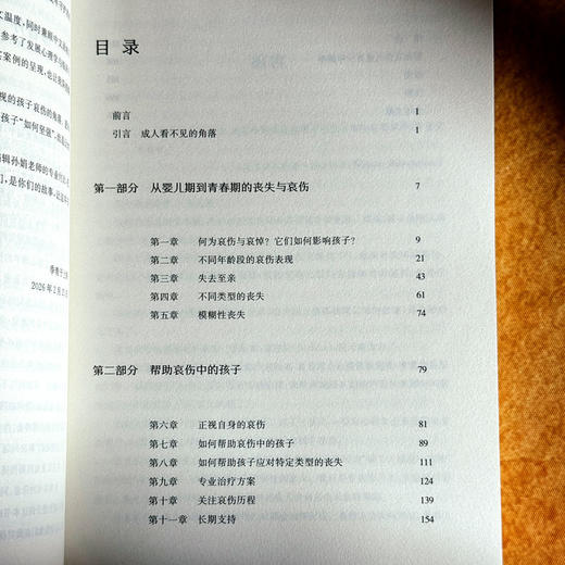 如何与哀伤共处 儿童青少年哀伤干预 儿童青少年青春期心理学 商品图6