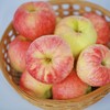 新鲜水果 甘肃新苹果4~5斤装（5.5元1斤，称重退差，多退少补） 商品缩略图0