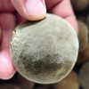 【地标授权 小果厚切】天单化橘红胎果切片 自饮&送礼 瓶装/礼盒 多款可选 商品缩略图9