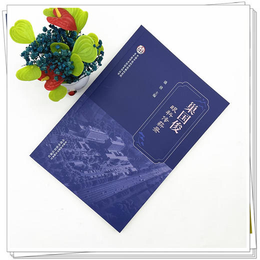 巢国俊眼科传薪录 盛倩 主编 中国中医科学院眼科医院名中医学术经验系列丛书 临床医学 9787524706977中国中医药出版社  商品图2