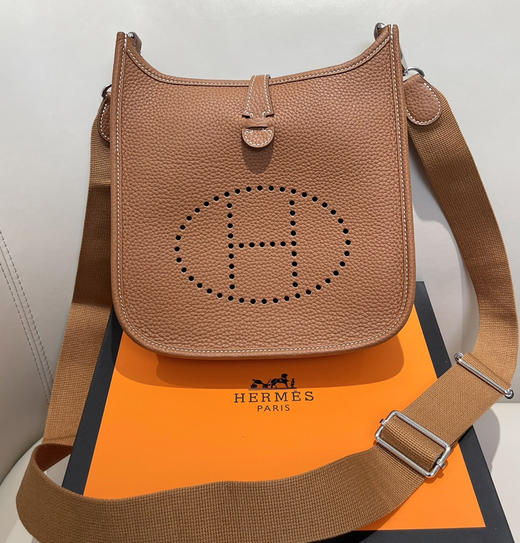 高定大马Evelyne 23Poche III斜挎单肩包081302 商品图6