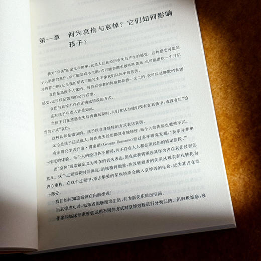 如何与哀伤共处 儿童青少年哀伤干预 儿童青少年青春期心理学 商品图9