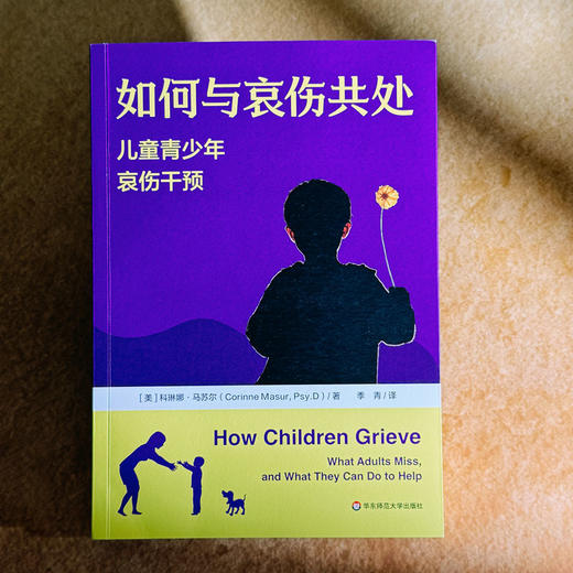 如何与哀伤共处 儿童青少年哀伤干预 儿童青少年青春期心理学 商品图1
