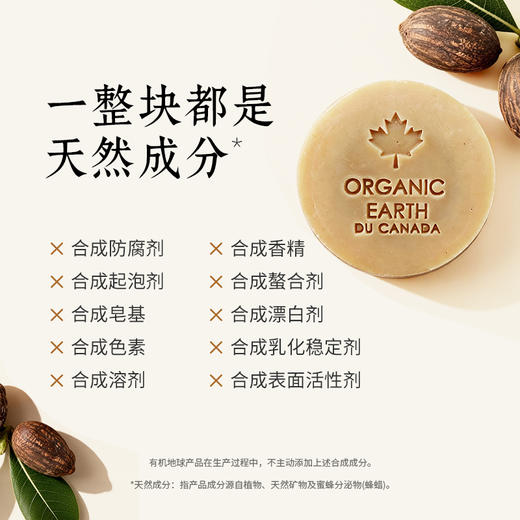 有机地球乳木果洁肤皂75g 商品图2