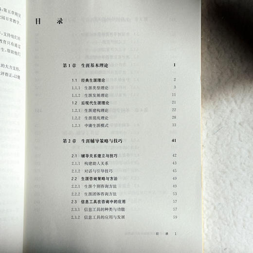 中小学生涯发展辅导员行动指南 生涯教育 华人生涯发展研究中心 商品图6
