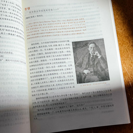 大学语文 第12版 徐中玉 全日制高校教材 商品图11