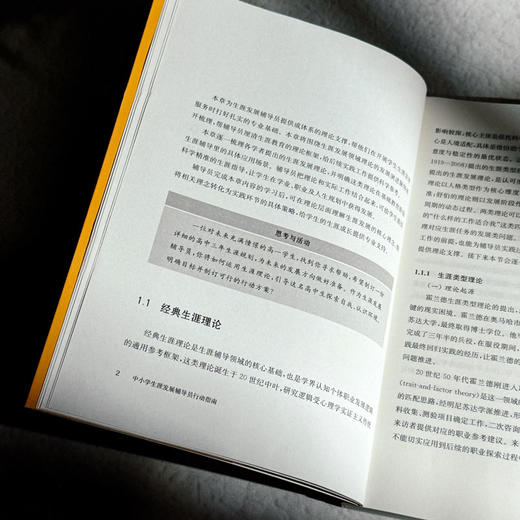 中小学生涯发展辅导员行动指南 生涯教育 华人生涯发展研究中心 商品图8