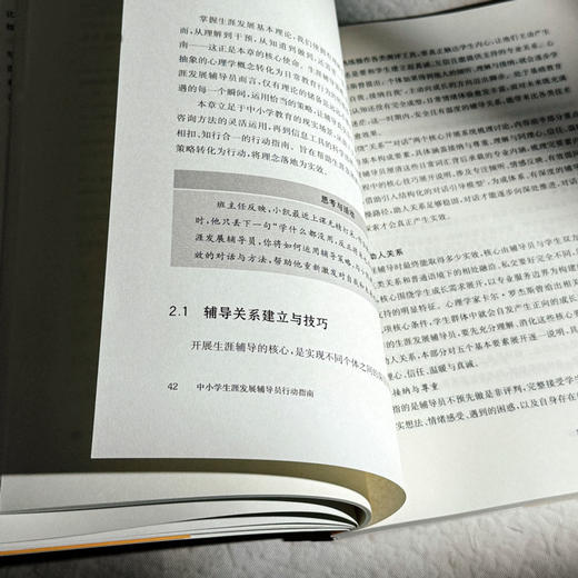 中小学生涯发展辅导员行动指南 生涯教育 华人生涯发展研究中心 商品图12
