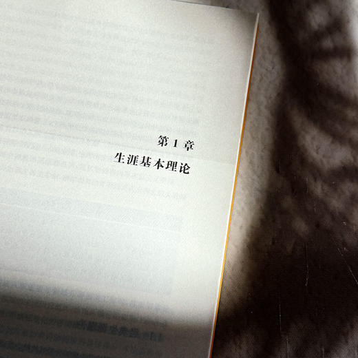中小学生涯发展辅导员行动指南 生涯教育 华人生涯发展研究中心 商品图7