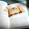 作家地图 想象国度地图集 精装 休·刘易斯-琼斯 包慧怡译 文学地图集 商品缩略图12