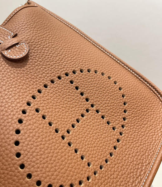 高定大马Evelyne 23Poche III斜挎单肩包081302 商品图3