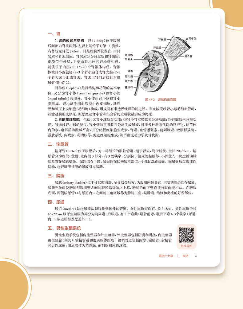 科普1_09.jpg
