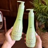 【桦语泉--白桦树汁何首乌草本洗发水】富含白桦树汁与多重草本植萃，深层滋养发丝，改善头皮屑、油头问题，秀发清爽柔顺飘逸，泡沫细腻易冲洗，敏感头皮也可安心使用 商品缩略图9
