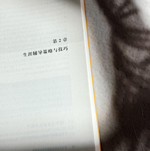 中小学生涯发展辅导员行动指南 生涯教育 华人生涯发展研究中心 商品图11