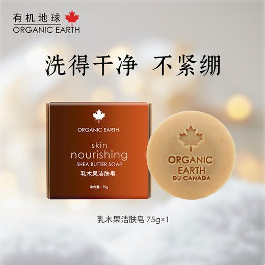有机地球乳木果洁肤皂75g 商品图0