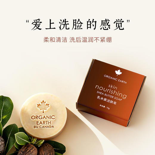有机地球乳木果洁肤皂75g 商品图1