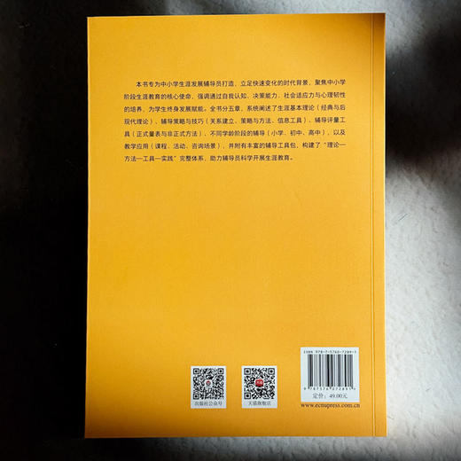 中小学生涯发展辅导员行动指南 生涯教育 华人生涯发展研究中心 商品图2