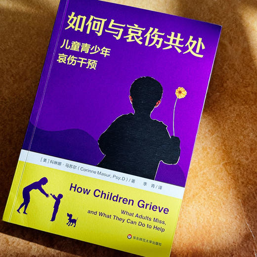 如何与哀伤共处 儿童青少年哀伤干预 儿童青少年青春期心理学 商品图4