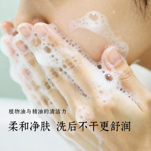 有机地球乳木果洁肤皂75g 商品图3