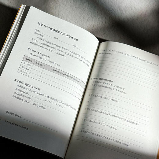 中小学生涯发展辅导员行动指南 生涯教育 华人生涯发展研究中心 商品图13