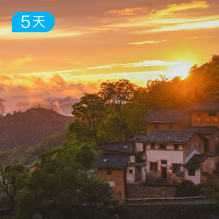 云端黄山| 看见黄山的另一面 42公里入门级徒步 5日
