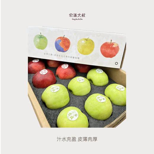 【豆豆LAB】多彩苹果盲盒礼盒 商品图3