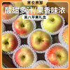 北京新下树美八苹果 自然成熟  现摘现发沙脆多汁 苹果新鲜水果礼盒装 商品缩略图0