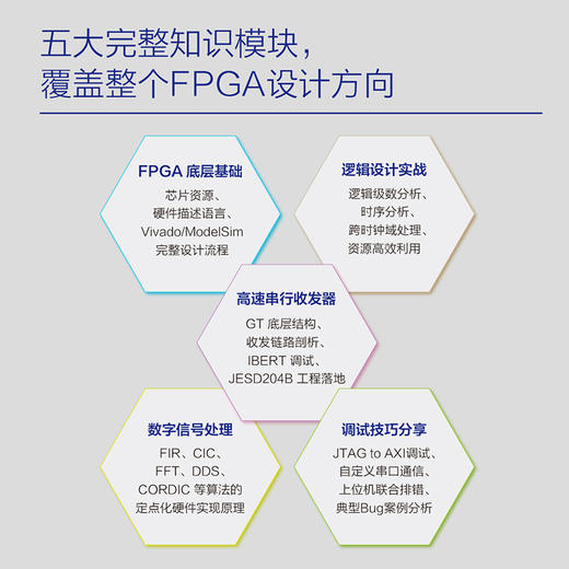 FPGA匠人手记：工程师的技术成长之路 商品图2
