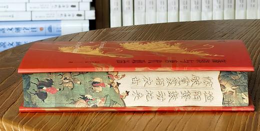 【限量刷边+激光雕刻+毛笔签名+钤印+《藩镇与唐代政治》，32开，精装，孟彦弘著，凤凰出版社2026年8月一版一印，售价88元。 商品图2