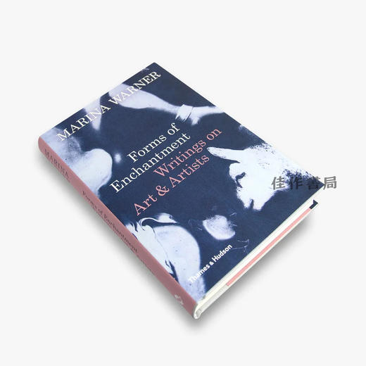Forms of Enchantment: Writings on Art and Artists / 魅力的形式：关于艺术家及艺术品的文章 商品图1