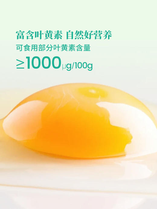 MM 山姆 富硒叶黄素鲜鸡蛋 3.3kg（60枚） 商品图3